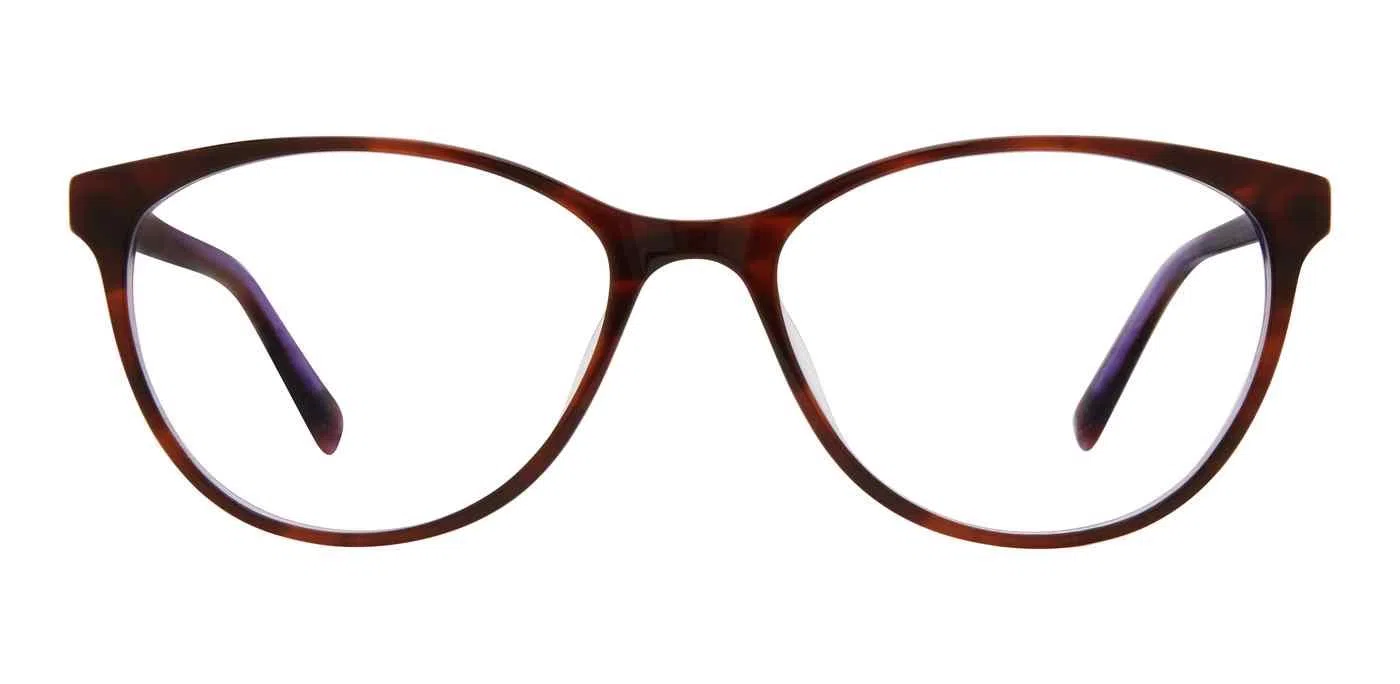 Adensco 234 Eyeglasses - view 23